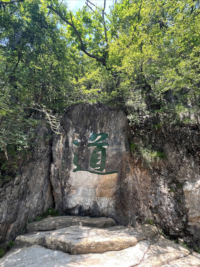 西安周邊遊∣尋夢大秦嶺•問道塔雲山