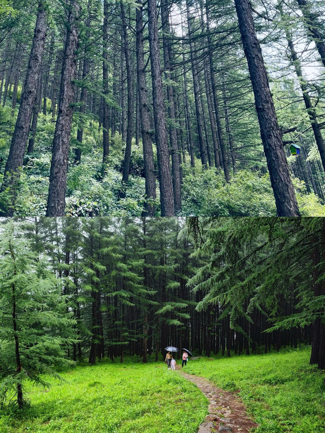 北京周邊｜崇禮翠雲山2天1夜團建攻略附玩法