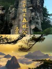 哇塞！張家界竟然隱藏著這些絕美的景點