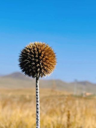 探索蒙古烏蘭巴托：登上宰桑紀念碑，欣賞全景風光
