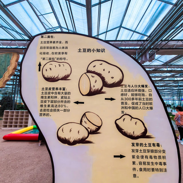 烏蘭察布小眾遛娃地 | 察右前旗現代農業產業園