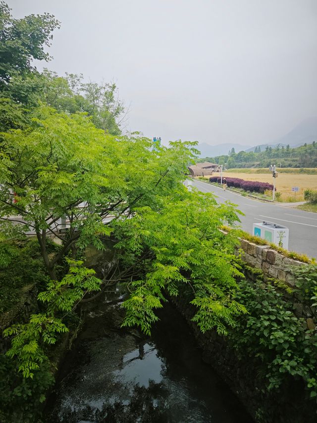 安吉余村一遊