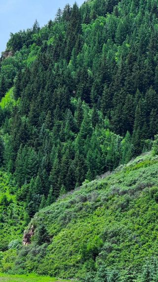 Luyashan live | Shanxi has its own Altai