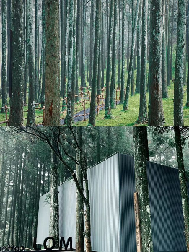 玉苍山