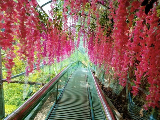 北方第一瀑：河南洛阳栾川王府竹海