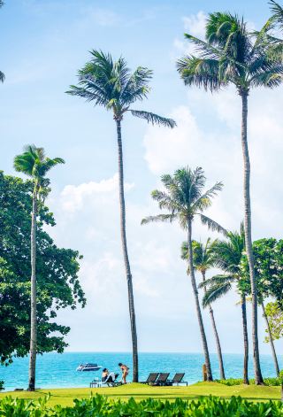 泰國 | 在蘇梅島住到了人生酒店，出門就是海景