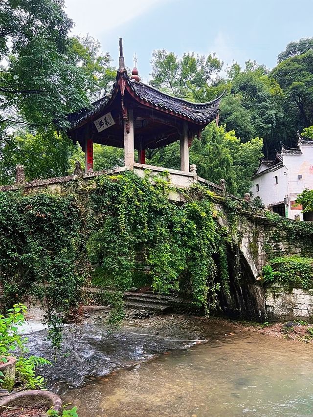 武義郭洞古生態村，去感受古村的古樸煙火氣以及自然的魅力！