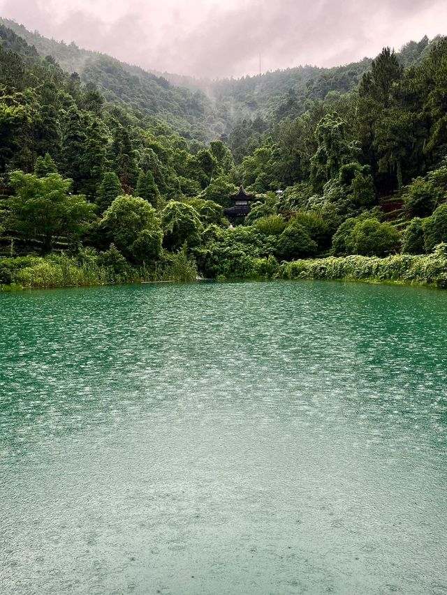 如果可以去旺山一定要雨徒