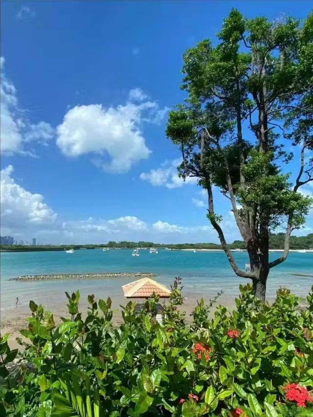 Kusu Island 🏝️ Singapore 🇸🇬 