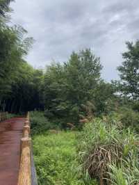 被問爆的湖州溯溪地這個夏天一定要去