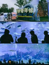 碼住！鄭州海昌遊玩拍照｜真實體驗攻略