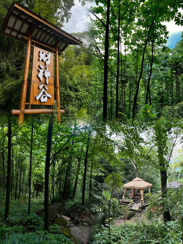 都江堰趙公山｜財神廟廟｜有求必應 奉旨發財