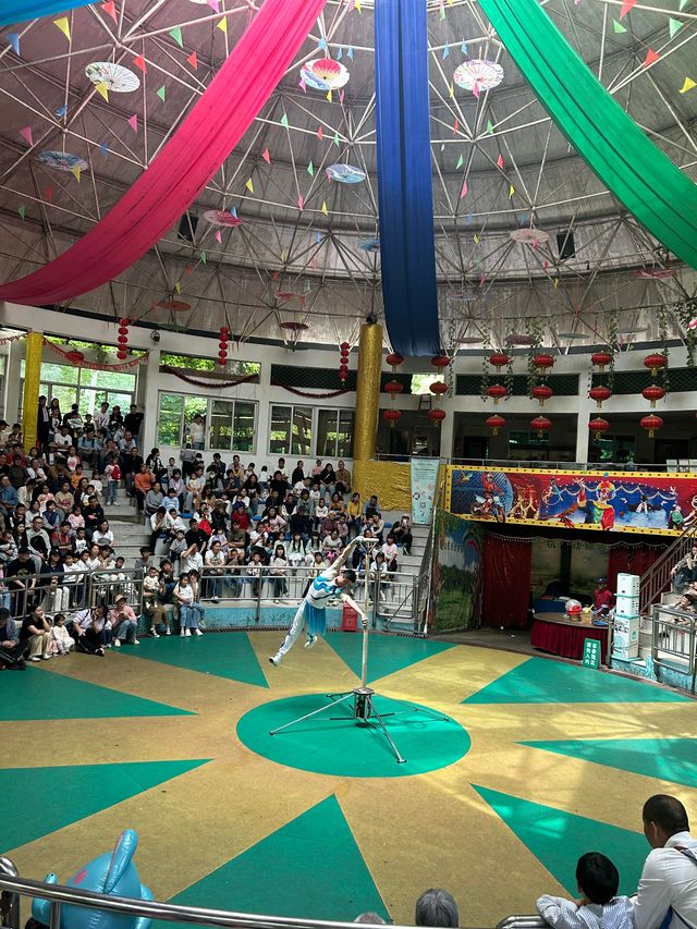 杭州citywalk虎跑公園，動物園，兒童樂園