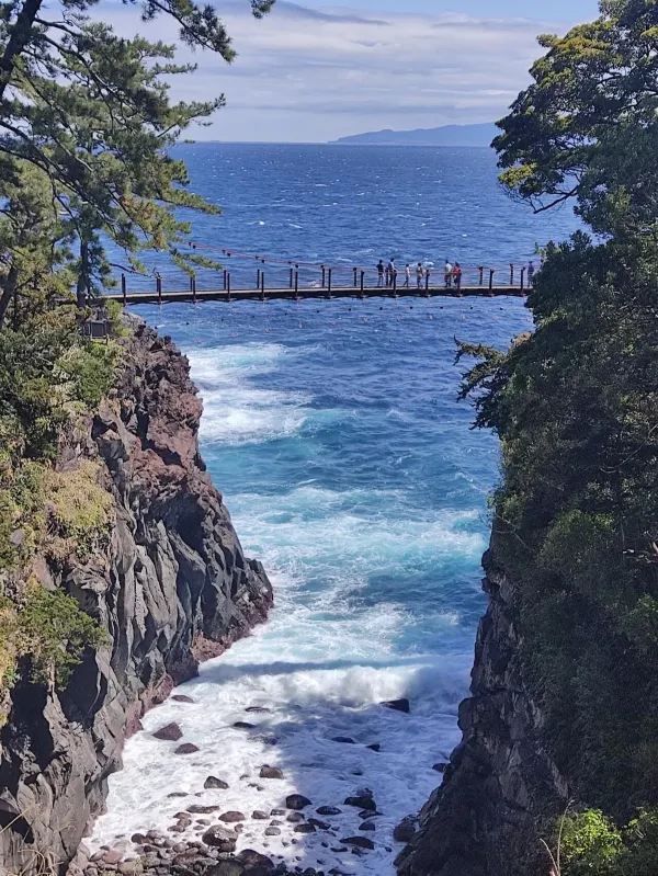 伊豆！被嚴重低估的東京周邊小城一日遊攻略🌊🏞️