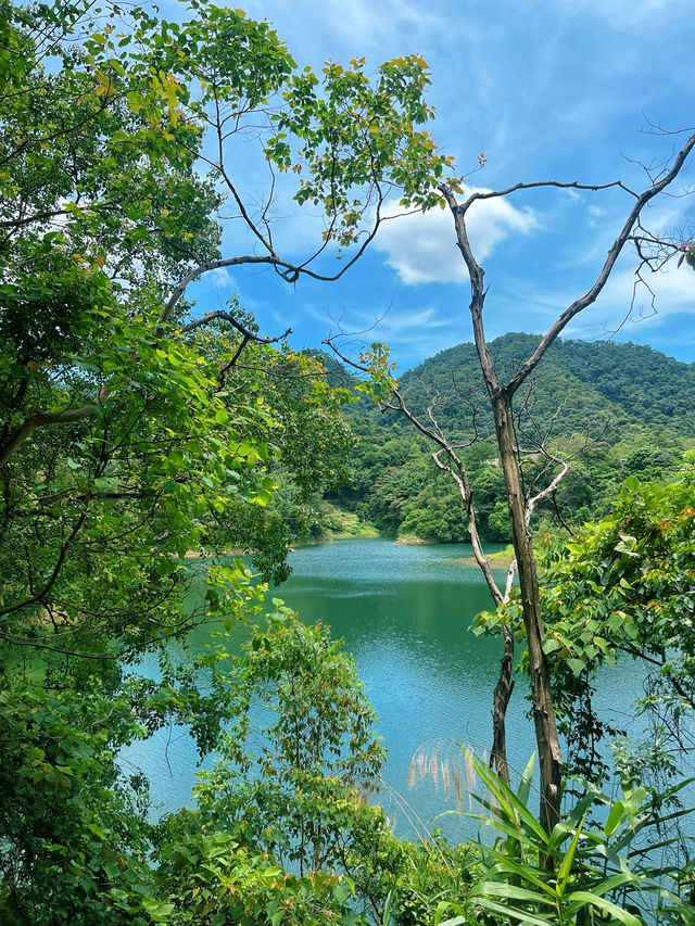 佛山｜無人知曉的綠寶石天池免費好玩