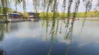金昌秋韻 | 秋日龍首湖 宛如童話世界