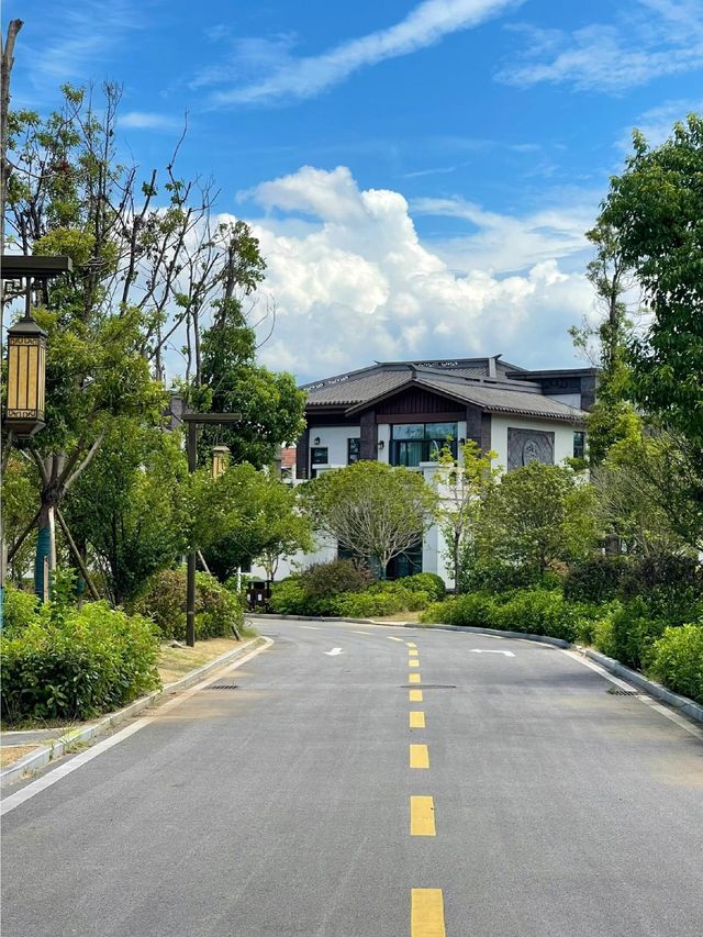 武漢1H新開中式園林別墅度假