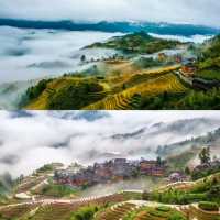 這是嚮往的生活嗎？