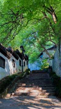 比起西湖，我更喜歡杭州這條小眾免費路線