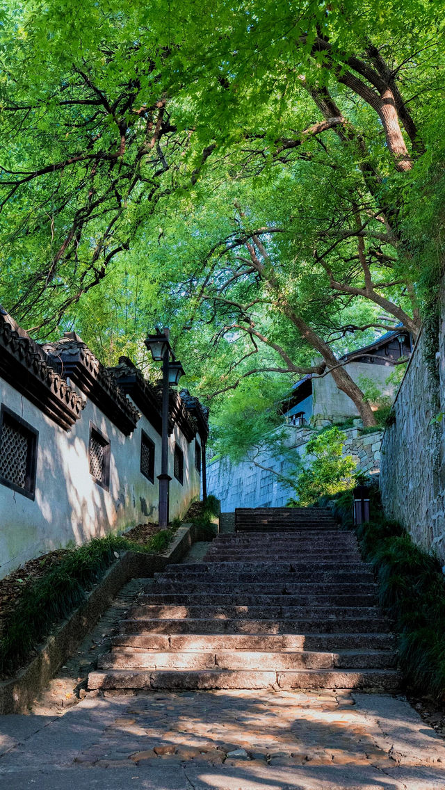 比起西湖，我更喜歡杭州這條小眾免費路線