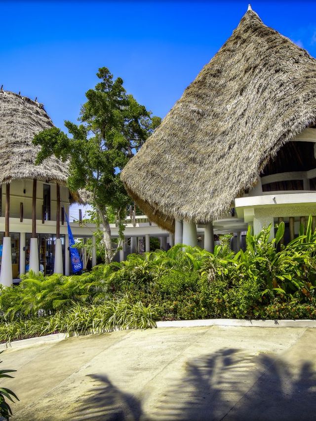 🌴 Koh Tao's Hidden Gem: Jamahkiri Dive Resort 🏝️