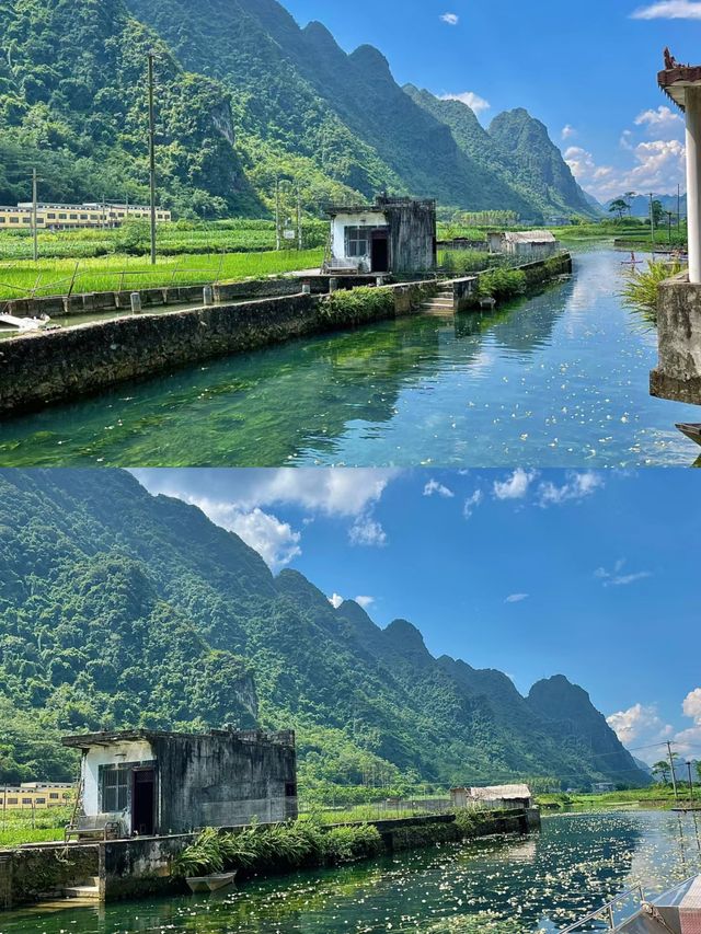 都安澄江會開花的河美得像一幅畫不要