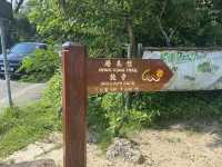 Dragon’s Back 🐉🗻 on Hong Kong Island: The Iconic Trail 🇭🇰