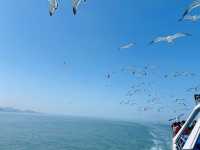海驴島旅遊指南如何拍出大片級照片？