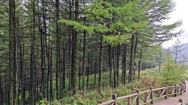 中秋遊六盤山。