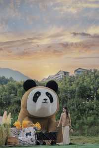 杭州附近的高山草原在秋季限定版變成了一幅美麗的油畫風景!