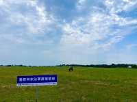 內蒙古||通遼市科爾沁草原感受水草豐茂。
