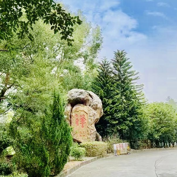 種草珠海金臺寺啦
