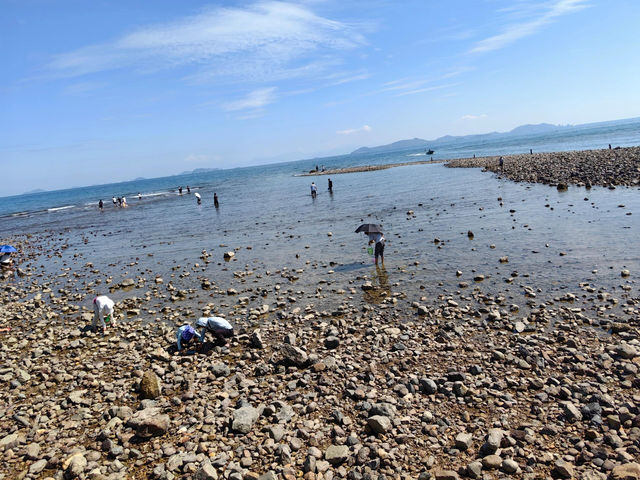 深圳大鵬鹿嘴山莊~人魚洞~楊梅坑。 深圳大鵬鹿嘴山莊~人魚洞~楊梅坑。