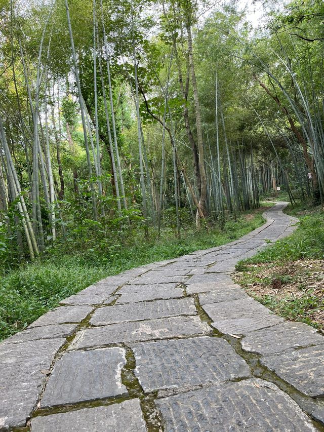 武漢 | 青龍山 | 一起徒步+快樂吸氧。