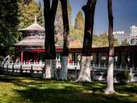 Stunning Park in Xining!