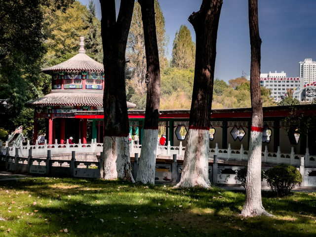 Stunning Park in Xining!