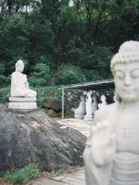 福州長樂蒲竺寺。