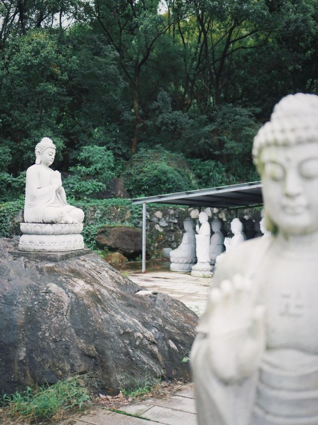 福州長樂蒲竺寺。