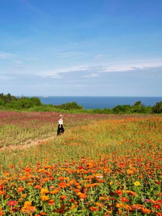 湄洲島：我的私享海島之旅。