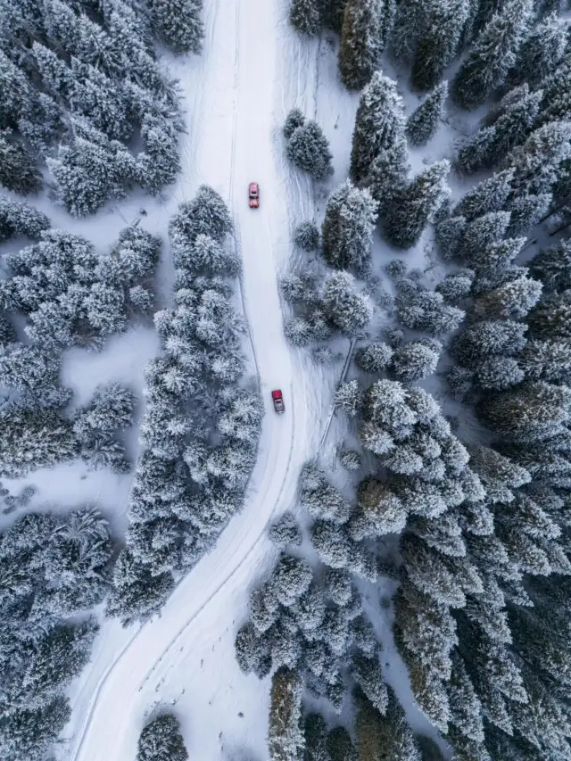 신장 톈산 톈츠 호수.