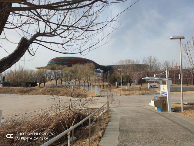 北京遊之四：冬天的世園公園。