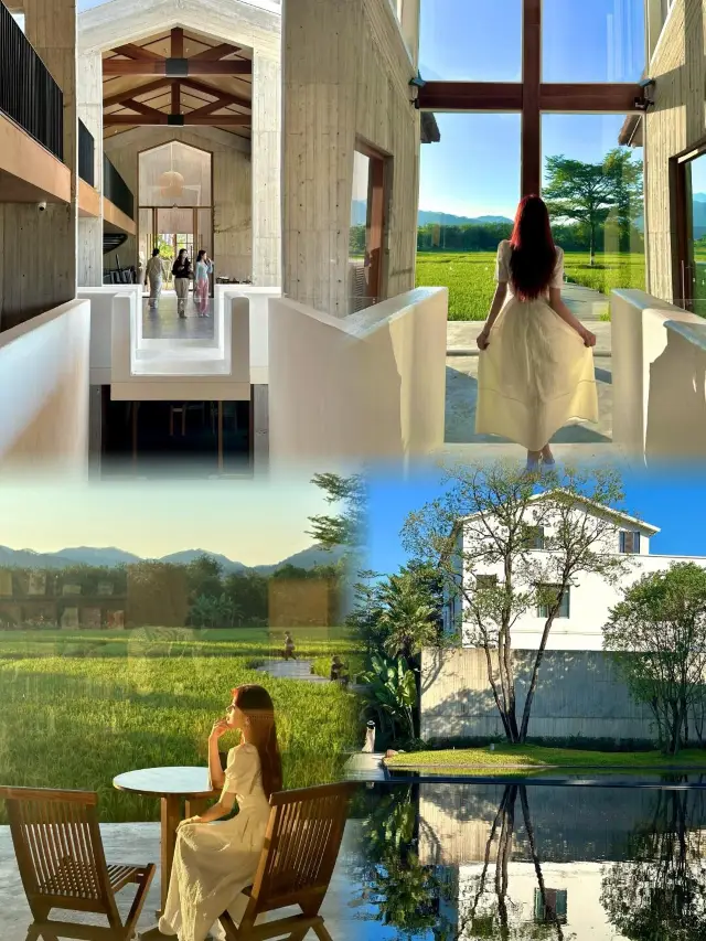 Beautiful Homestay in Qingyuan｜A picture-perfect place. 