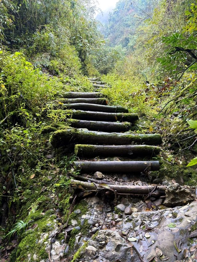 趙公山遊玩全攻略｜路線、準備、最佳時間一網打盡！。