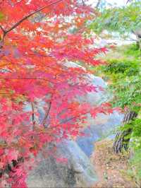 青島本地人的小眾打卡地——華嚴寺。