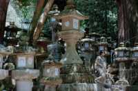 京都出發｜宇治．奈良 一日遊攻略來咯。