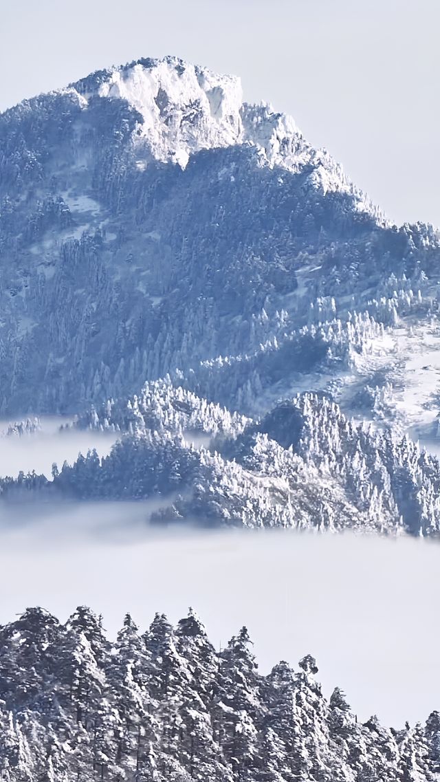 神農架賞雪、滑雪。