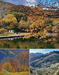 玉渡山一日遊 秋日調色盤模式全開。