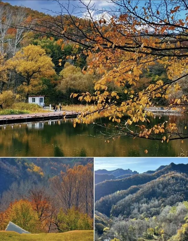 玉渡山一日遊 秋日調色盤模式全開。
