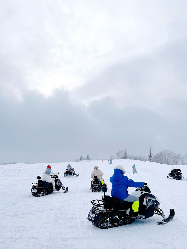 真不是北海道！在雪谷連住3天不想走。