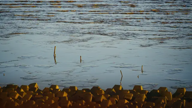 Haiyan | Shendang Town Day Trip.